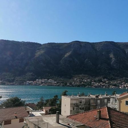 Albatros Apartment Kotor Bagian luar foto