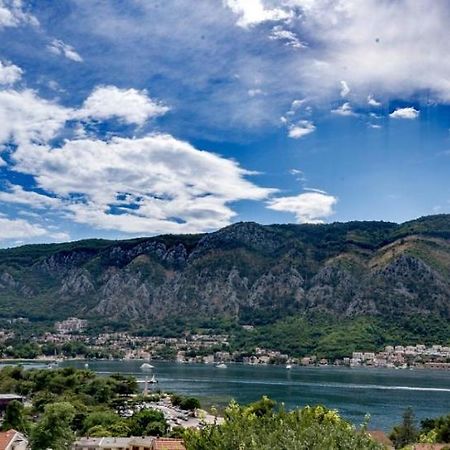Albatros Apartment Kotor Bagian luar foto